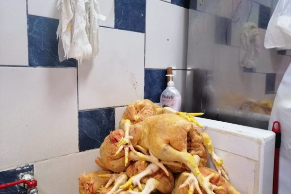 Kraken ссылка на сайт тор