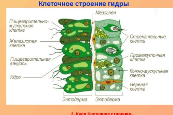 Ссылка на кракен krakens13 at