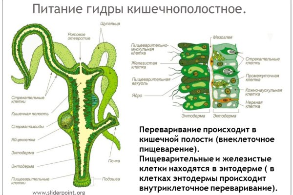 Кракен рабочая ссылка